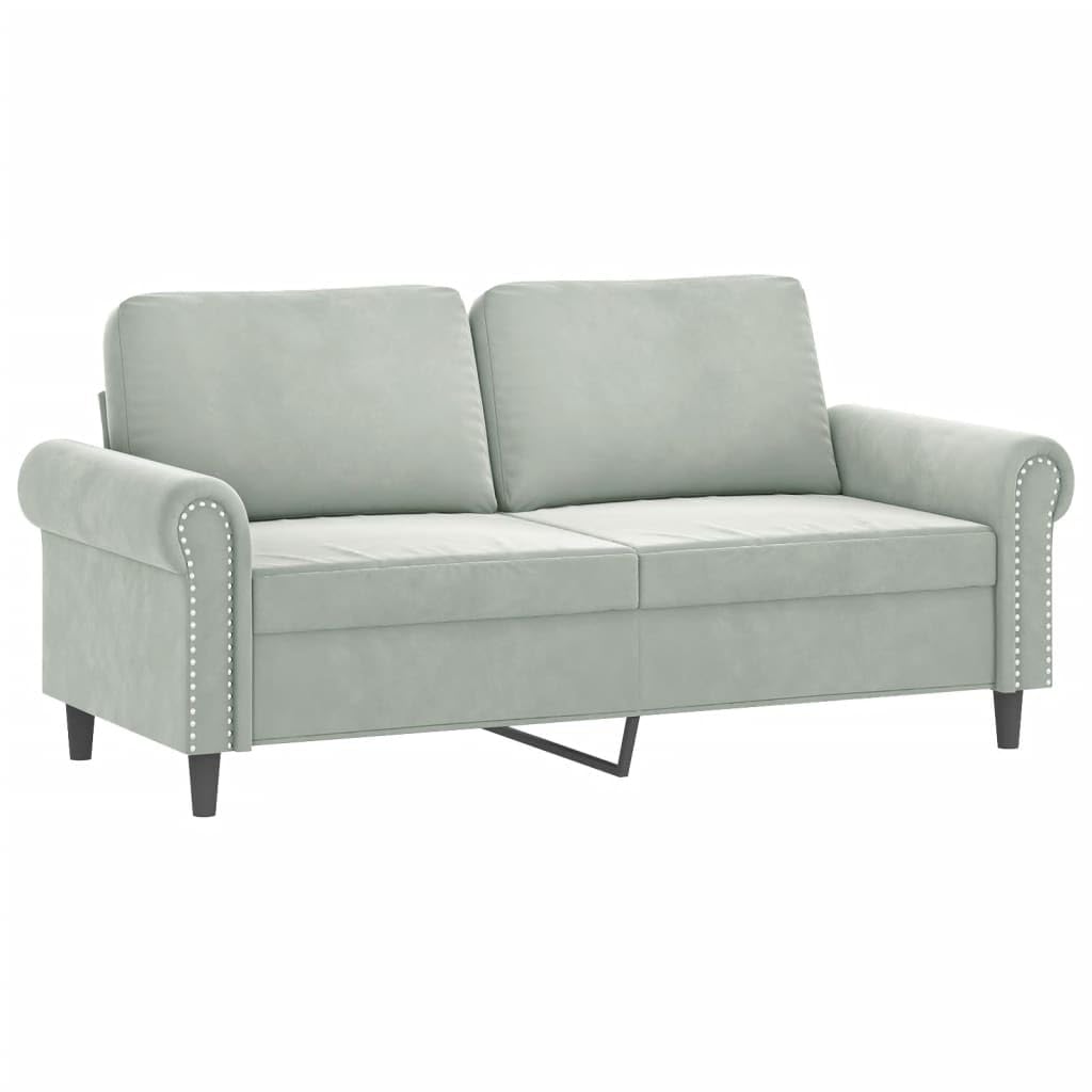 Light Gray Velvet 2 Piece Sofa Set with Throw Pillows M53999