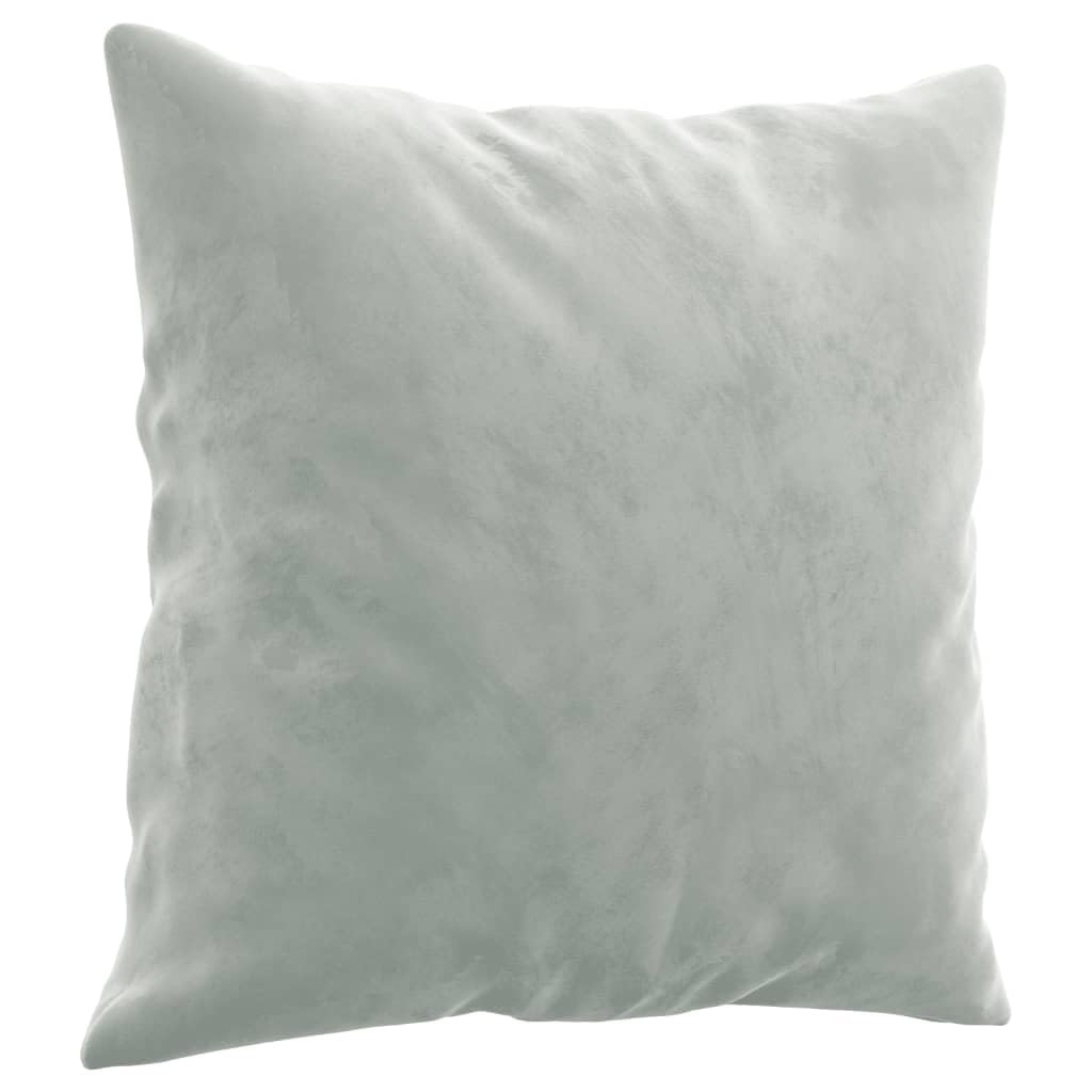 Light Gray Velvet 2 Piece Sofa Set with Throw Pillows M53999
