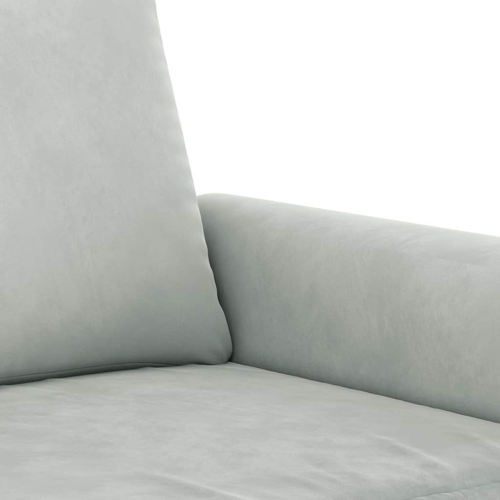 Light Gray Velvet 2 Piece Sofa Set with Throw Pillows M53999