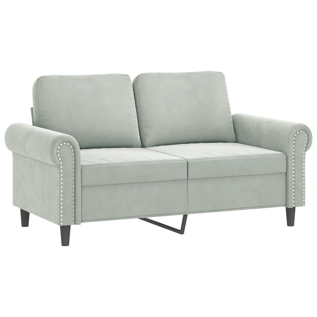 Light Gray Velvet 2 Piece Sofa Set with Throw Pillows M53999