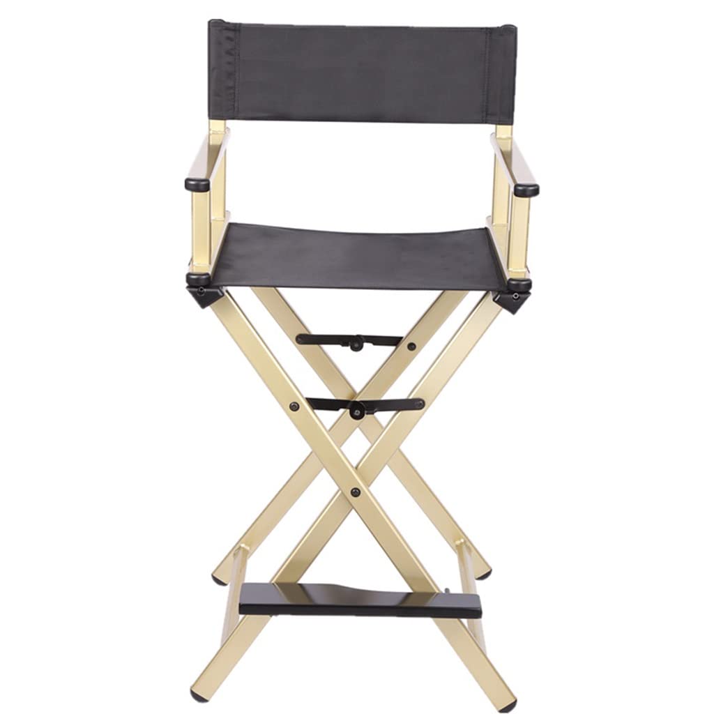 Folding Aluminum Director's Chair V304849