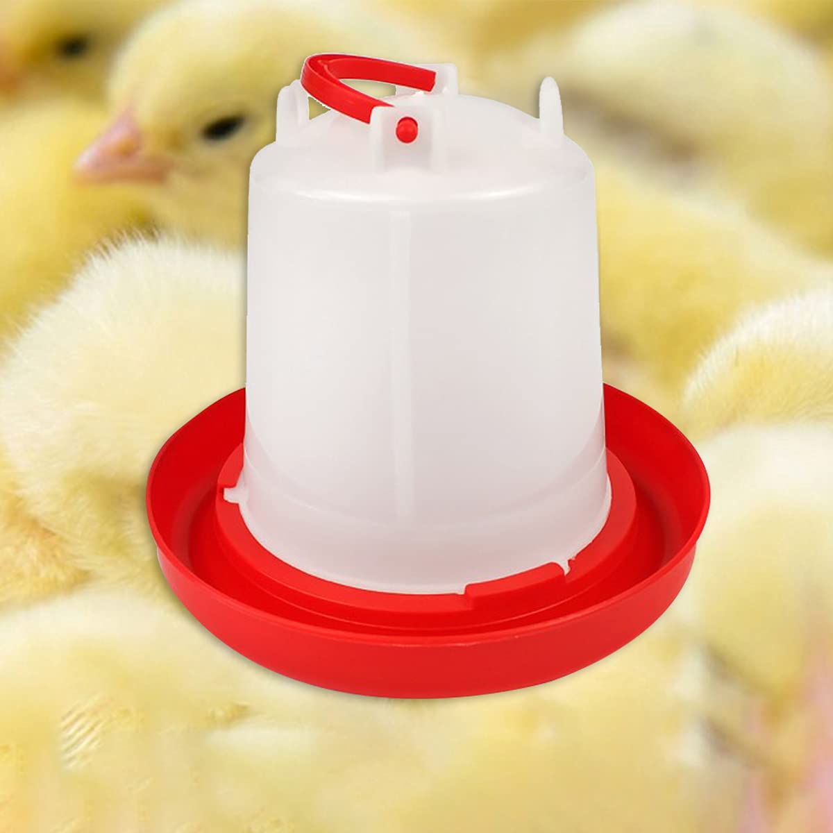 4 Pack 1 L Plastic Poultry Waterer A768