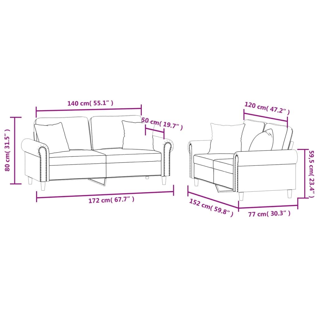 Light Gray Velvet 2 Piece Sofa Set with Throw Pillows M53999