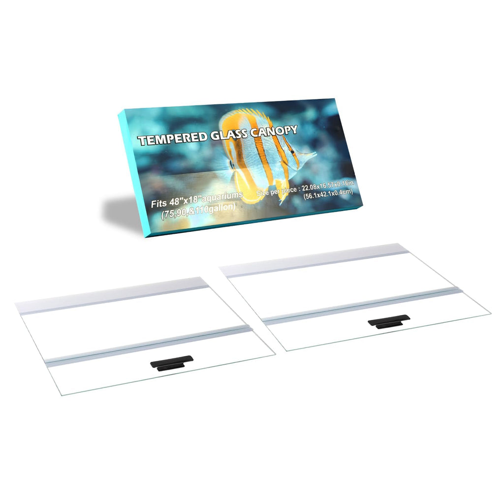 Clear Tempered Glass Canopy B609