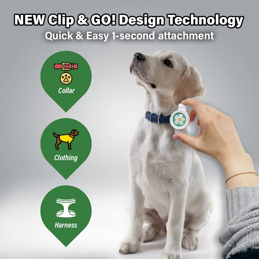 Natural Flea and Tick Repellent Clip for Dogs A38385