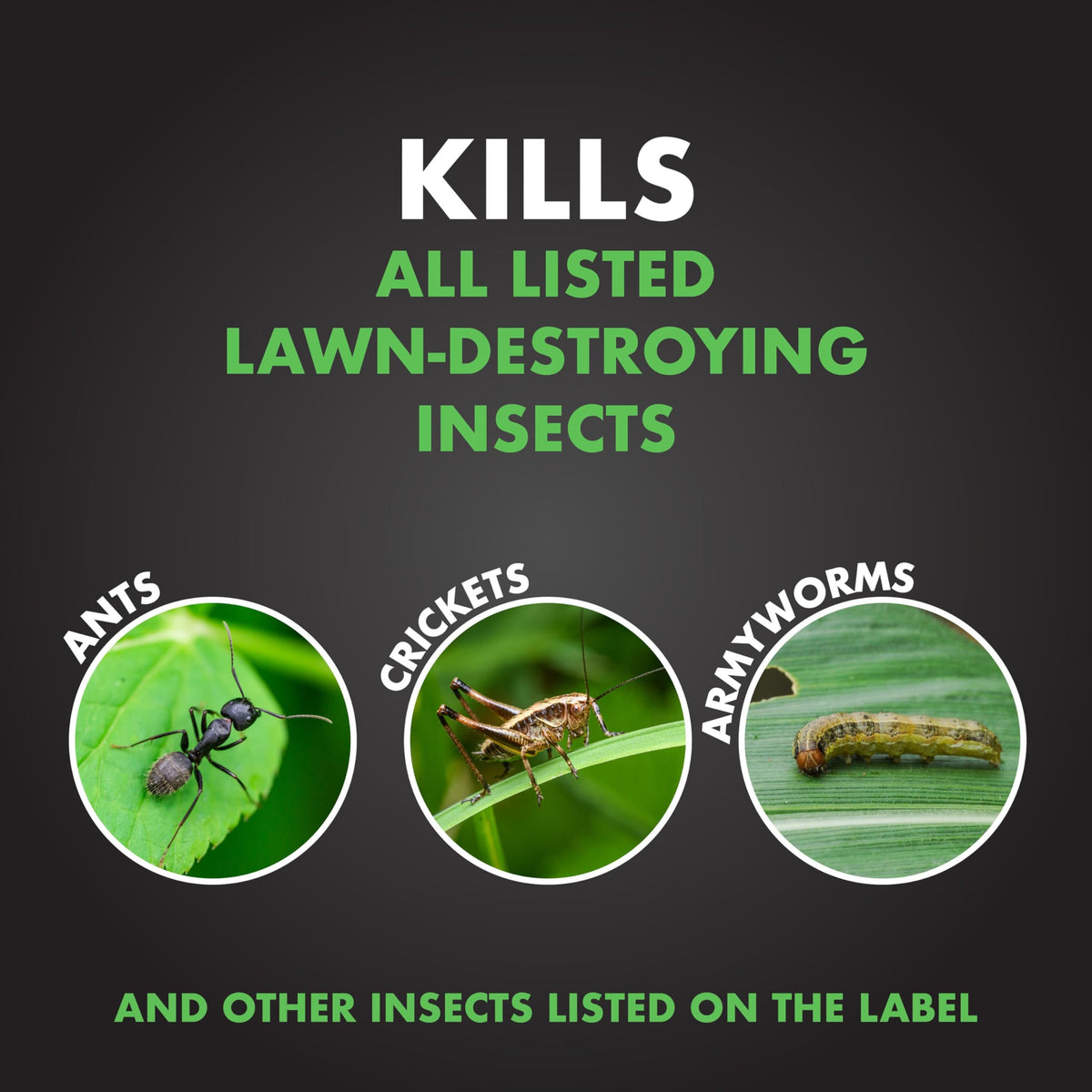 20 lb Granules Insect Killer J1614