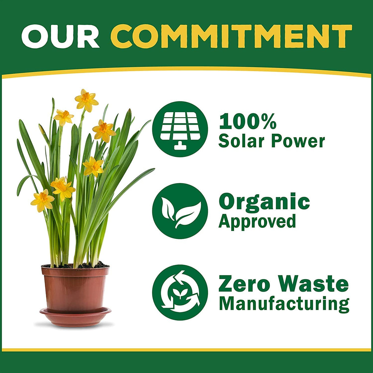 Organic Liquid Concentrate Plant Food 16oz I52376