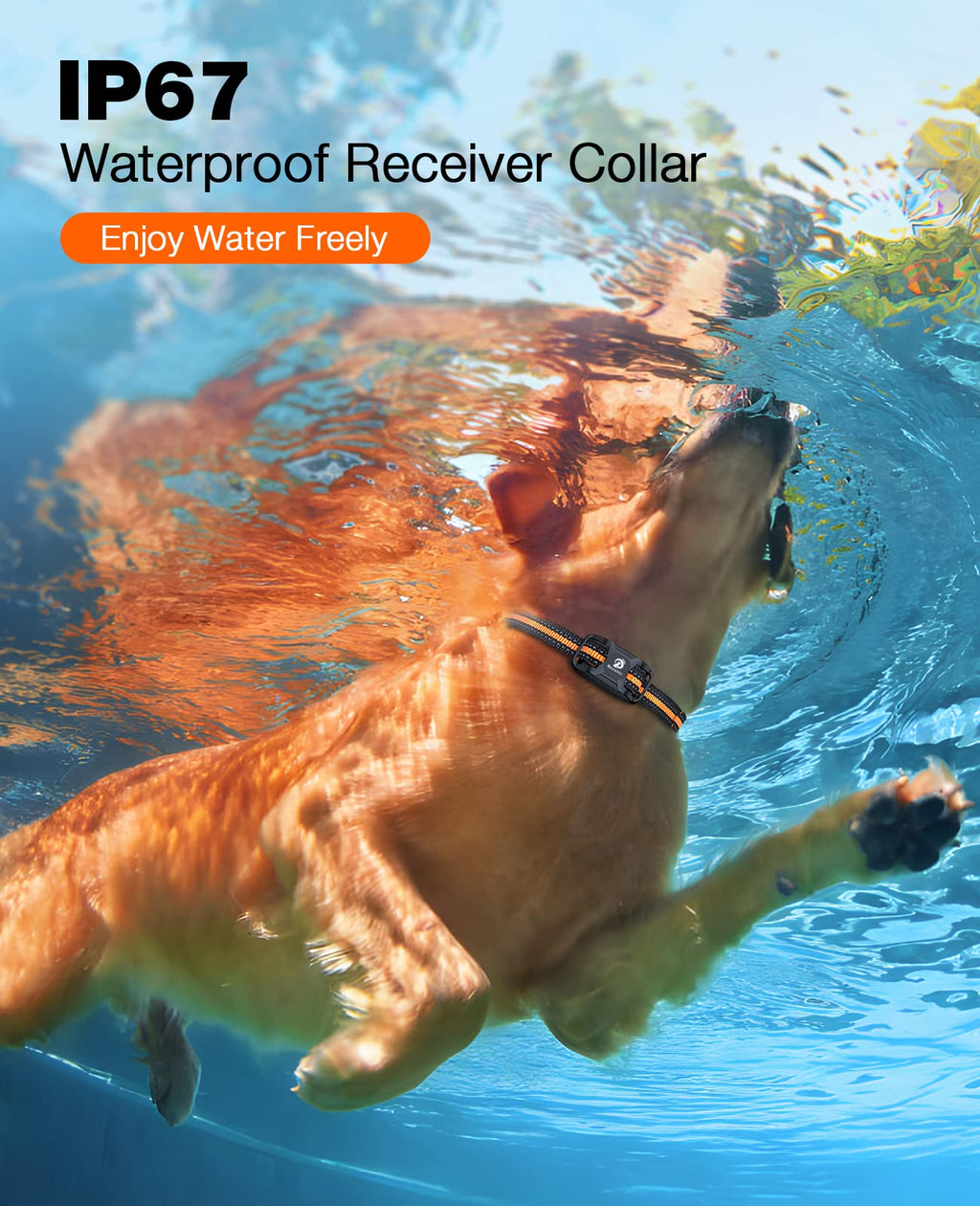 Rechargeable Waterproof Dog Training Collar with Remote V46534