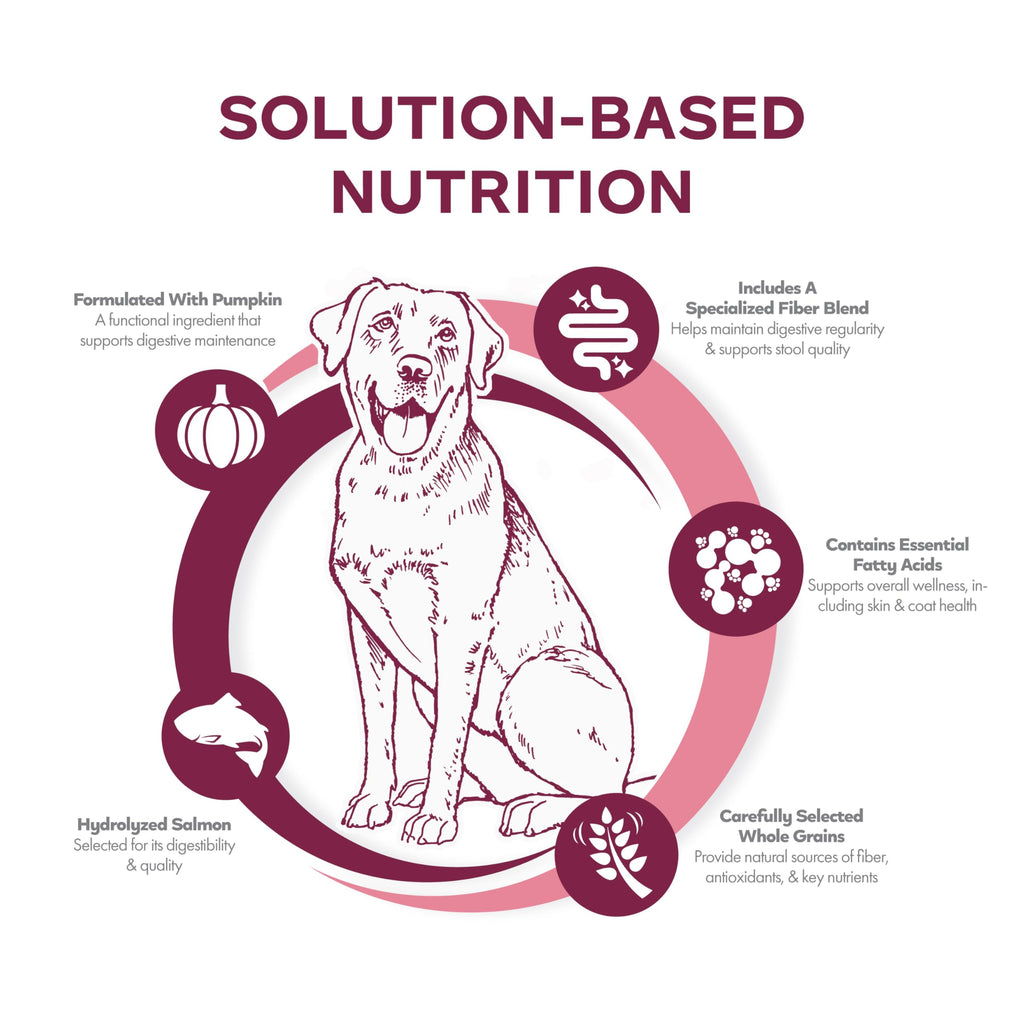Salmon & Whole Oats Dry Dog Food 26 lb H7147