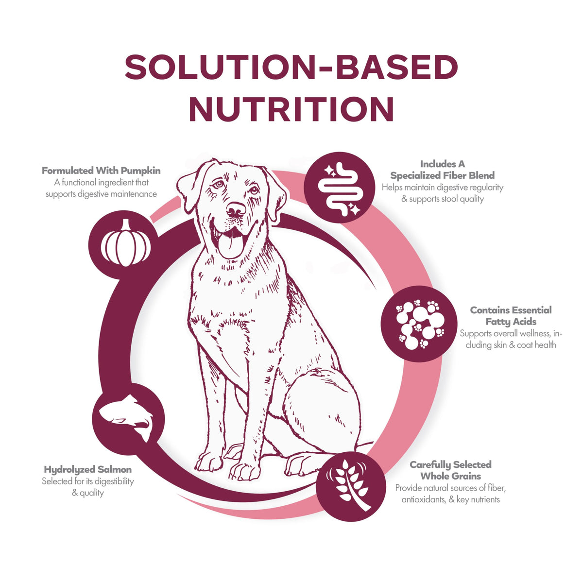 Salmon & Whole Oats Dry Dog Food 26 lb H7147