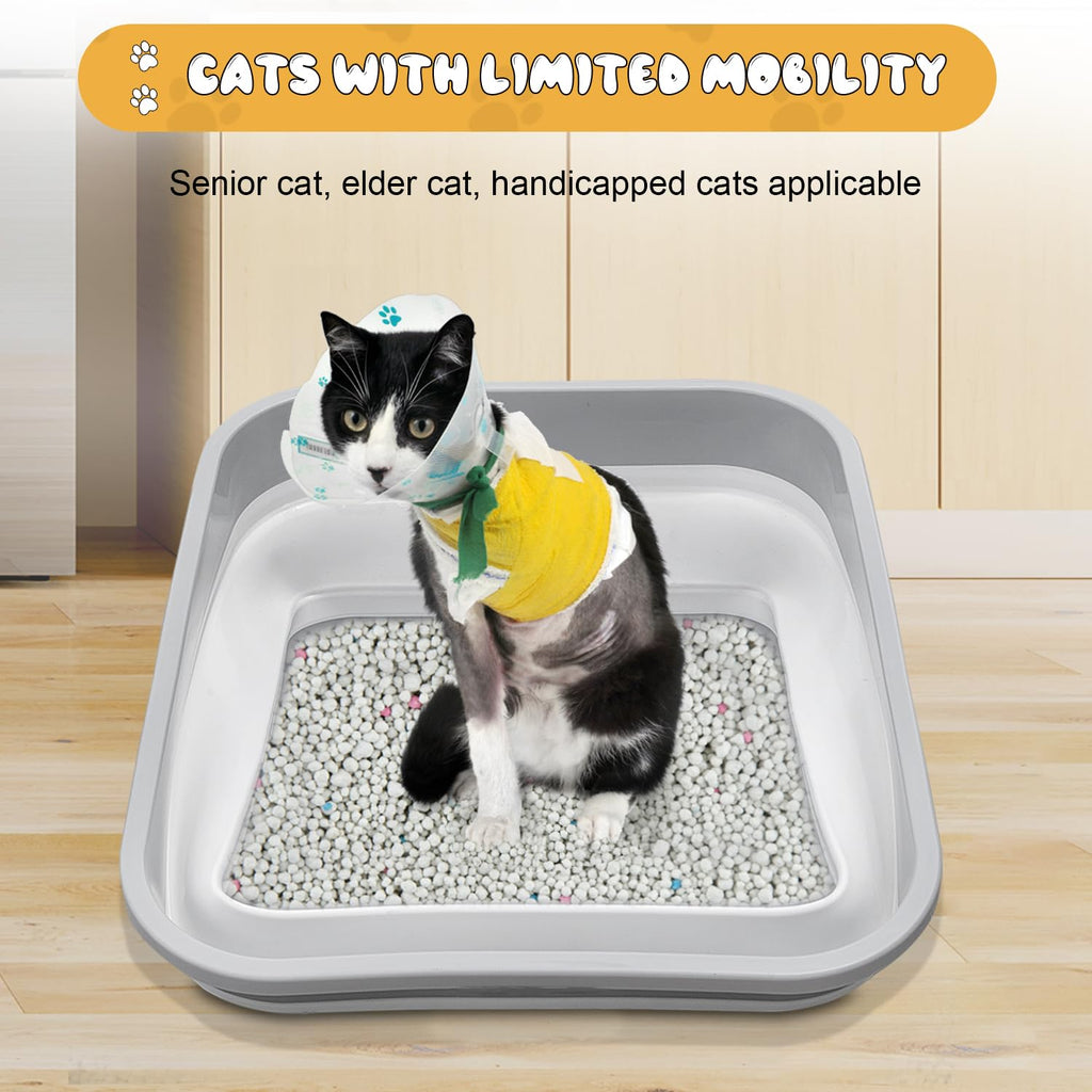Collapsible Open Cat Litter Box N517408