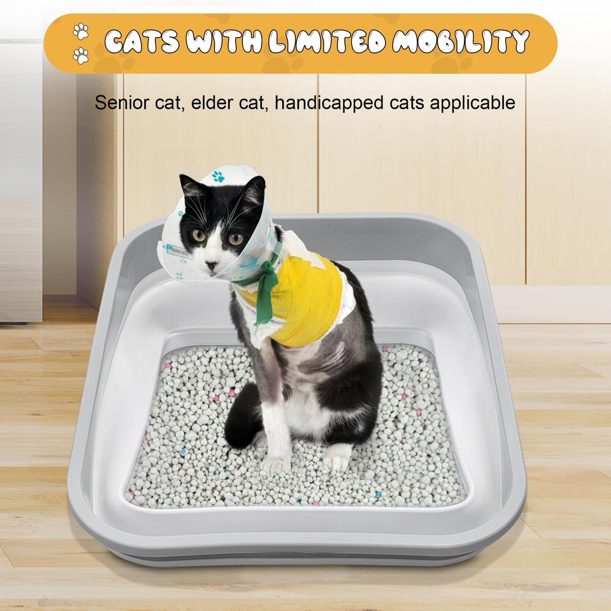 Collapsible Open Cat Litter Box N517408