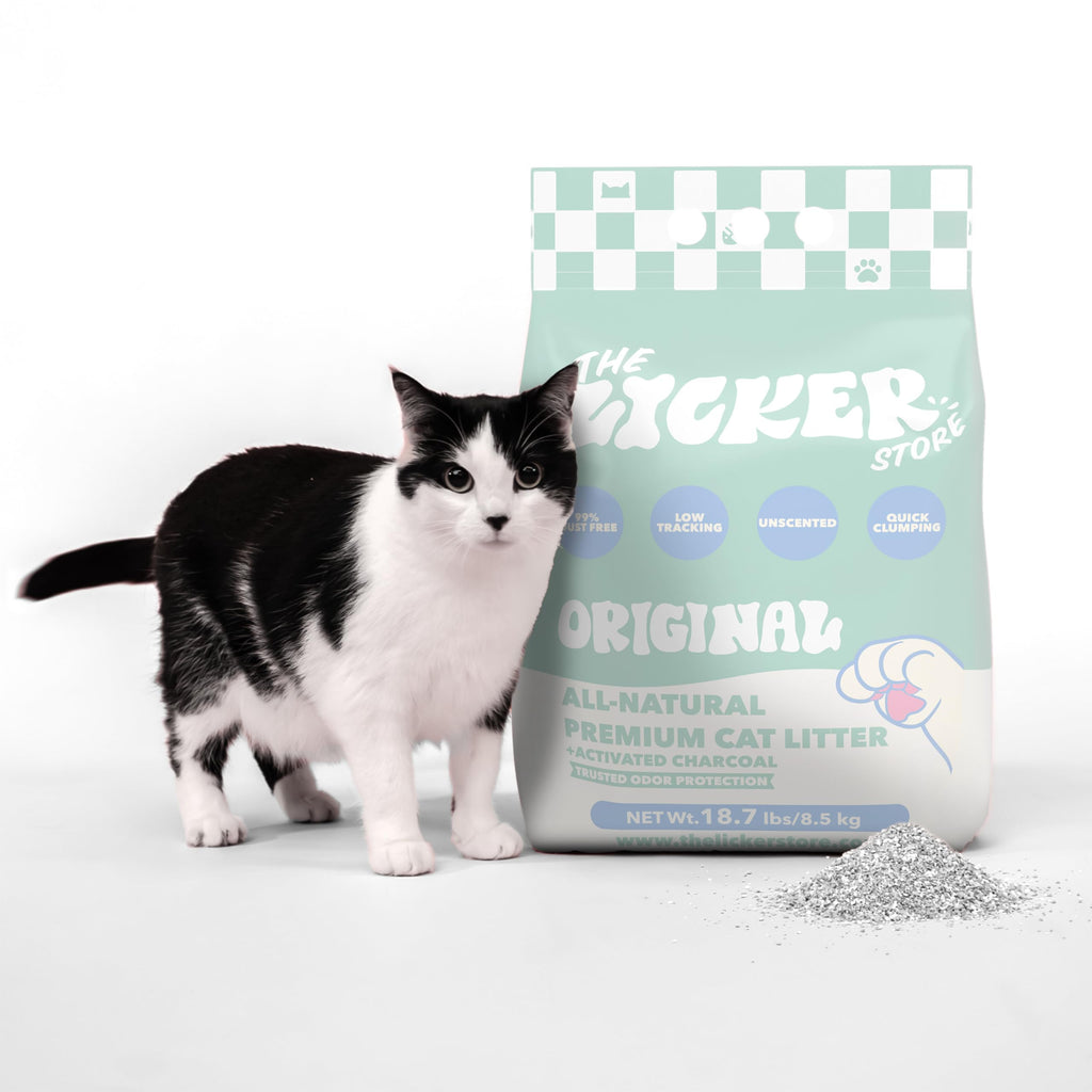 Unscented Clumping Bentonite Clay Cat Litter Set of 2 N379497