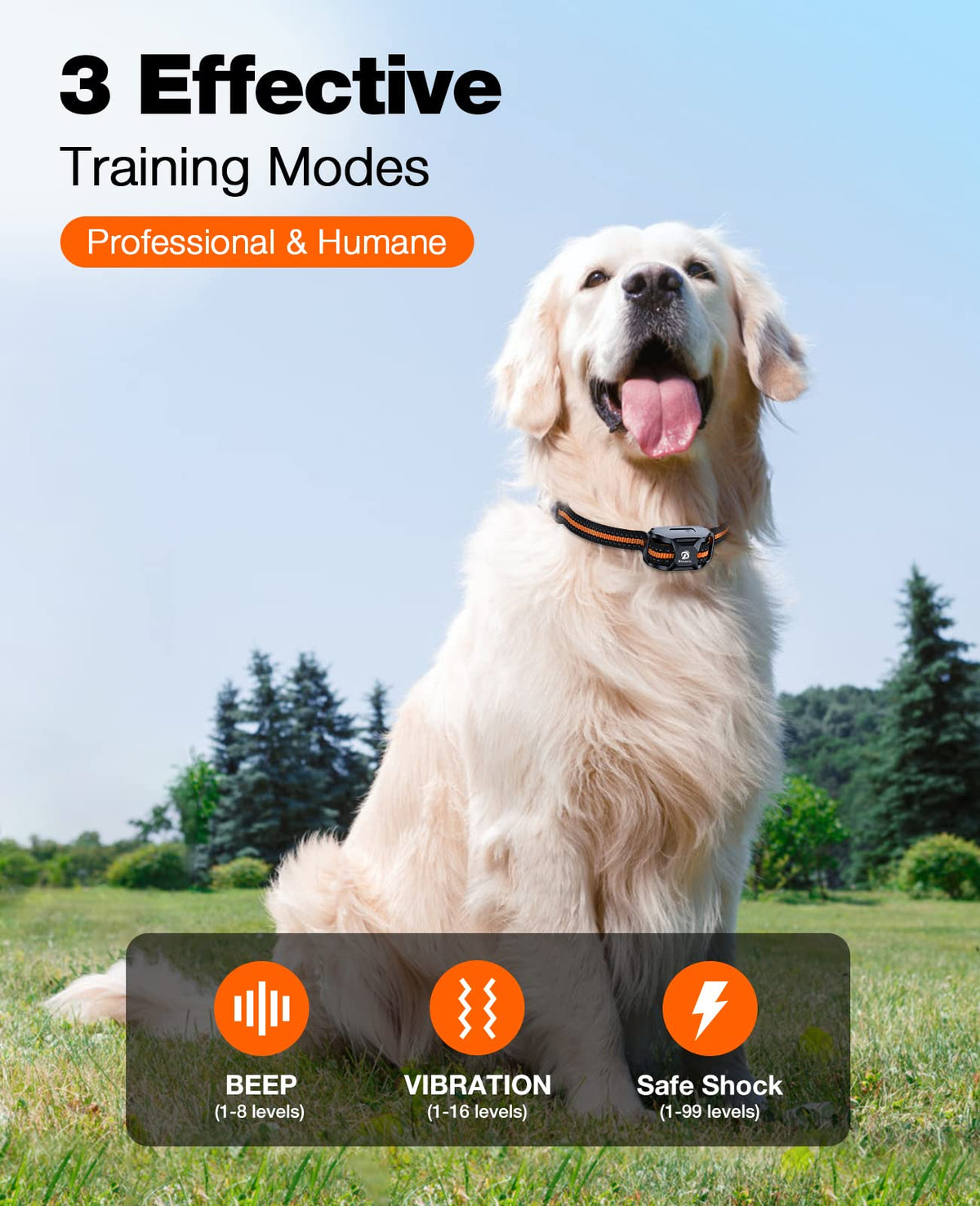 Rechargeable Waterproof Dog Training Collar with Remote V46534