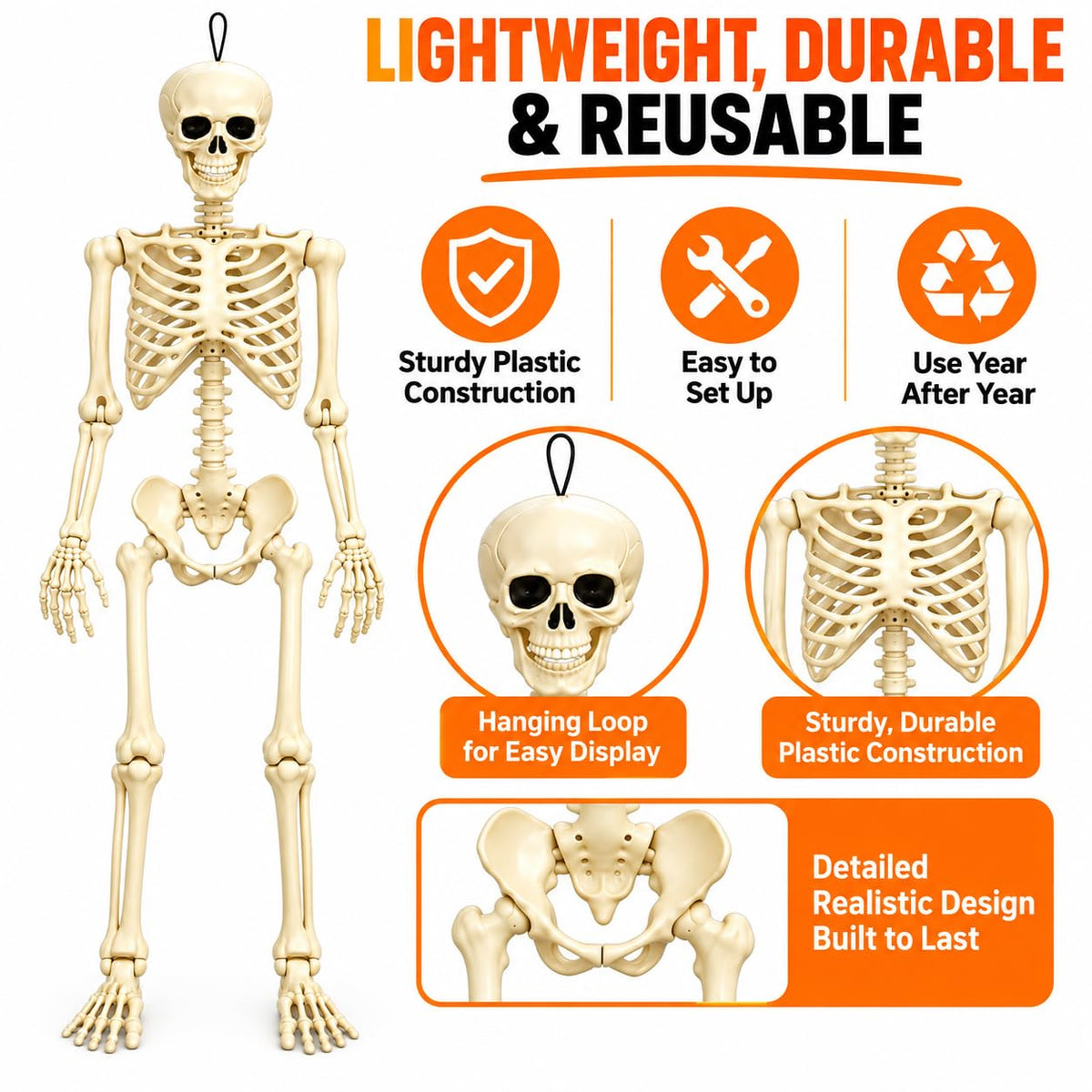 Posable Halloween Skeleton B691