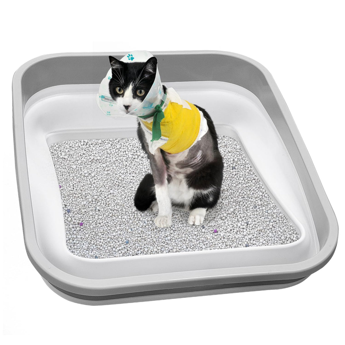 Collapsible Open Cat Litter Box N517408