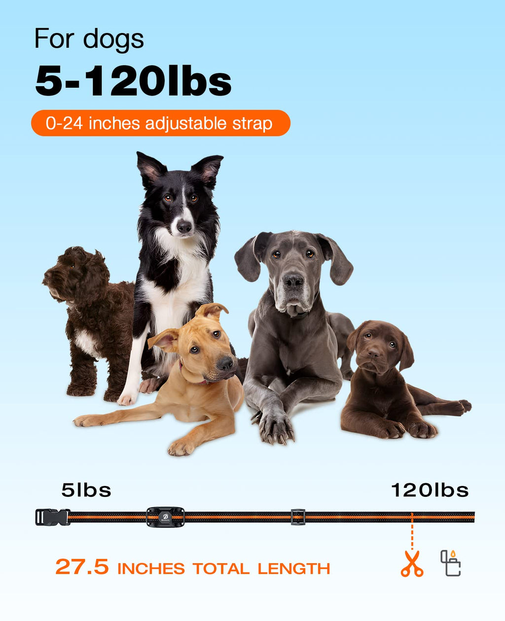 Rechargeable Waterproof Dog Training Collar with Remote V46534