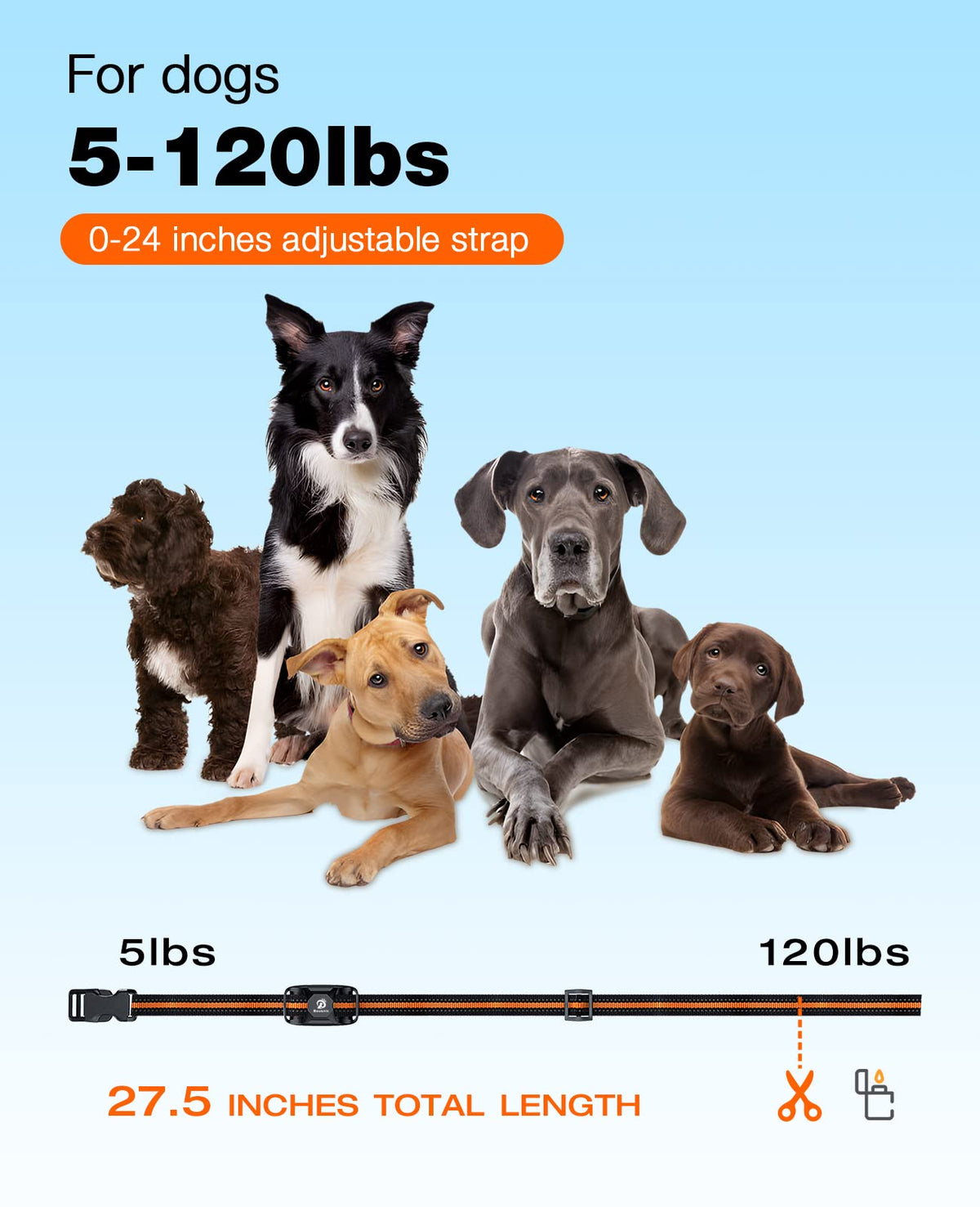 Rechargeable Waterproof Dog Training Collar with Remote V46534
