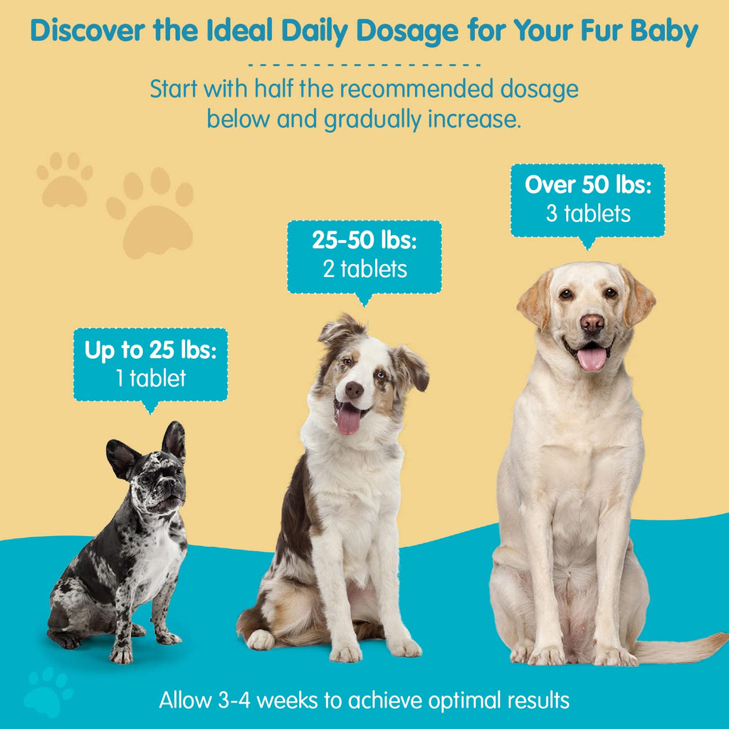 Milk Thistle for Dogs Chewable Tablets A2488