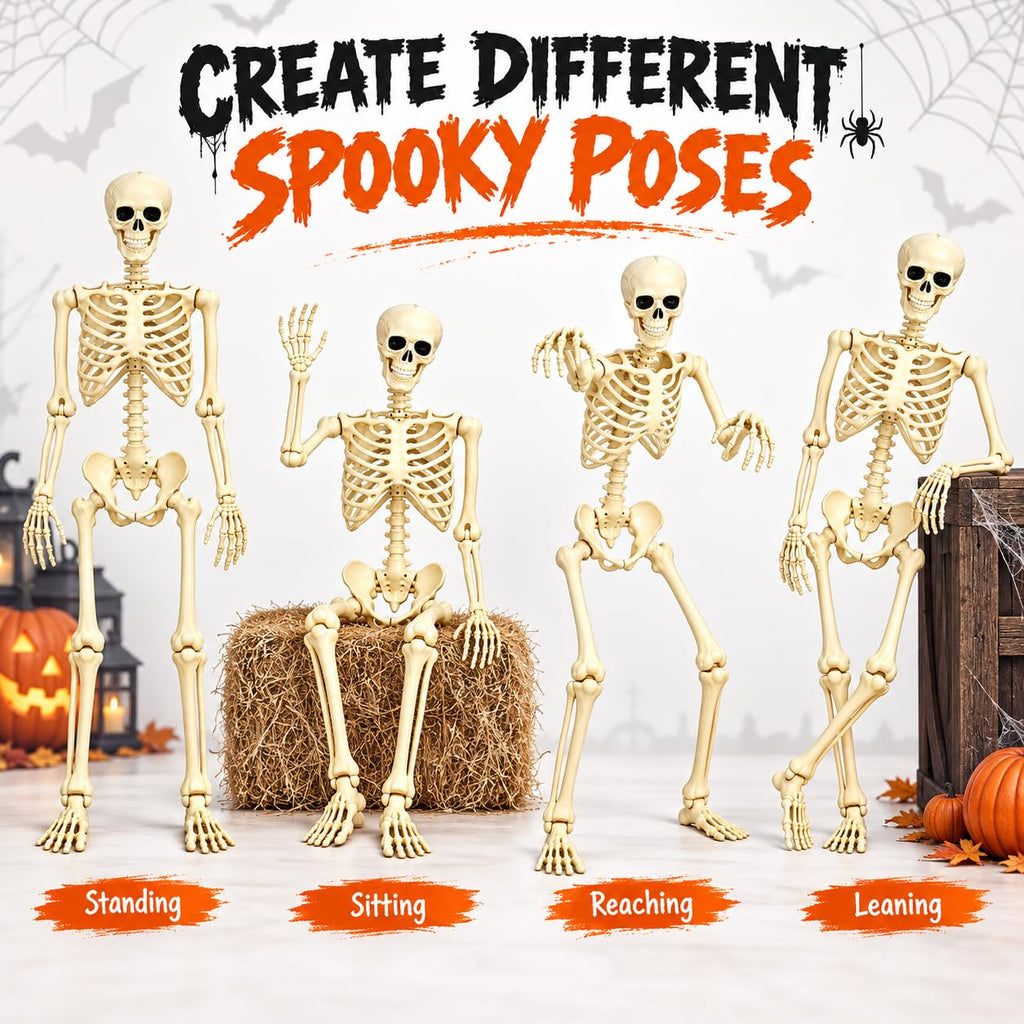 Posable Halloween Skeleton B691