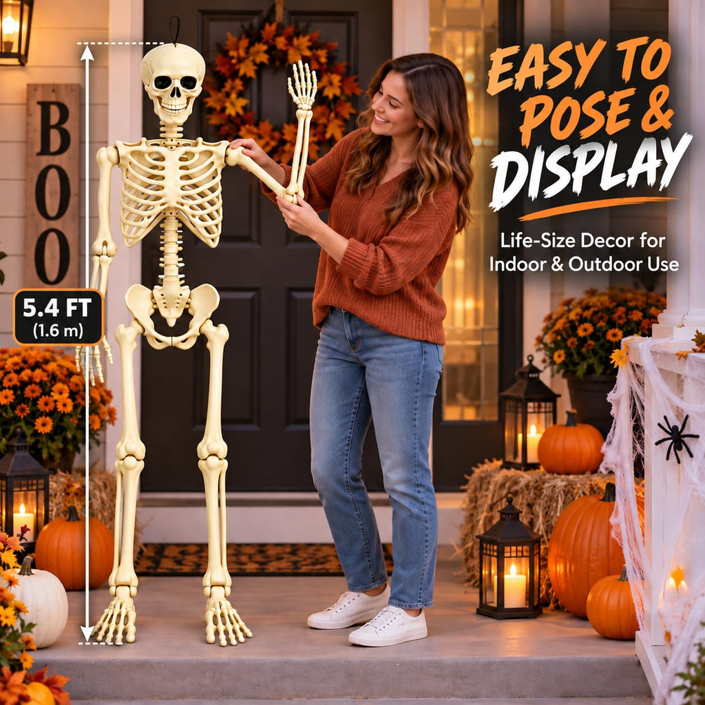 Posable Halloween Skeleton B691