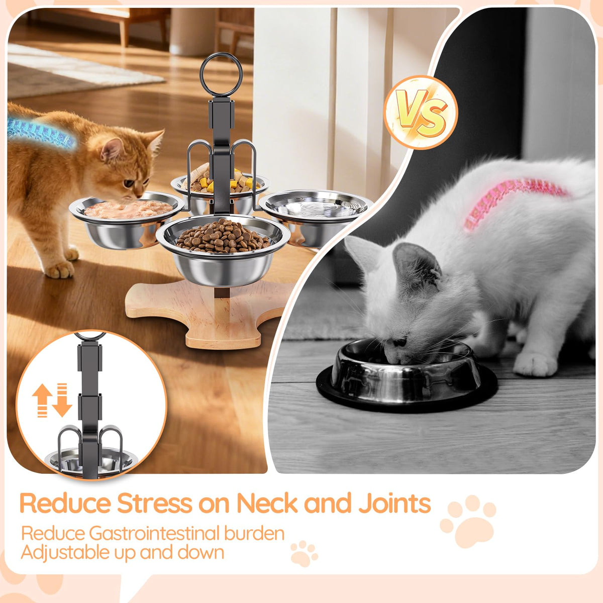 Elevated Cat Bowls with Stand A691