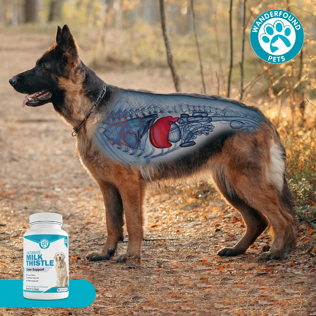 Milk Thistle for Dogs Chewable Tablets A2488