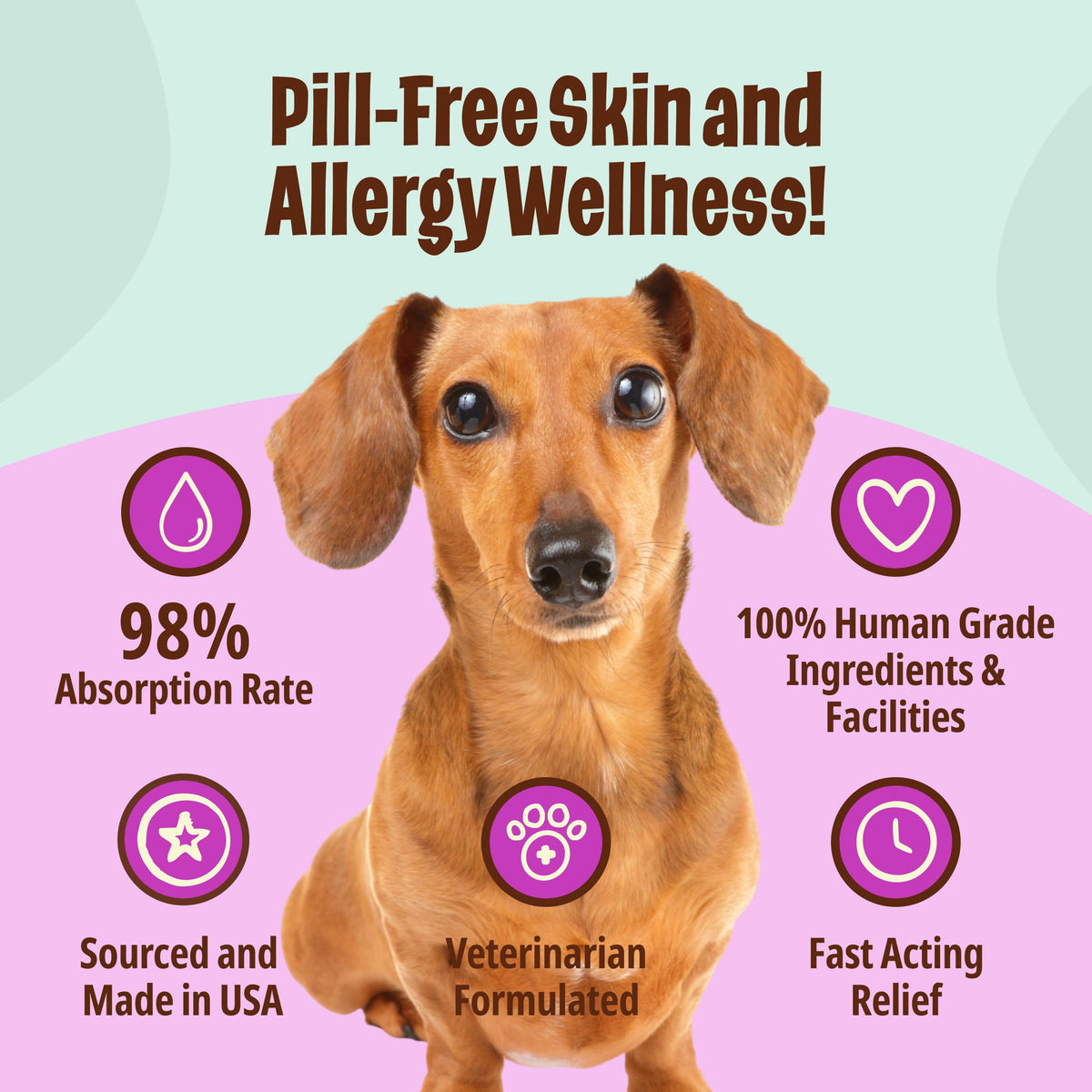 Omega-3 Fish Oil for Senior Dogs F210755