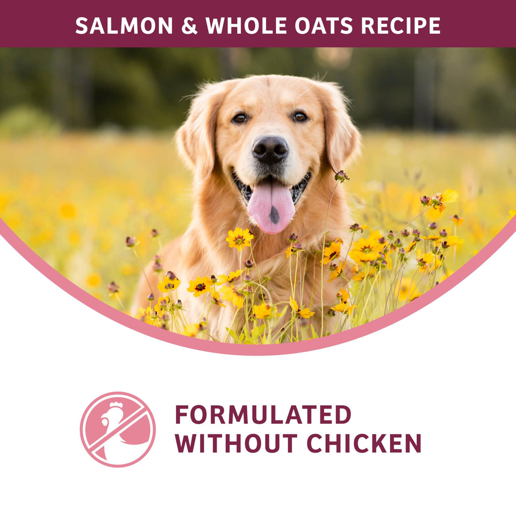 Salmon & Whole Oats Dry Dog Food 26 lb H7147