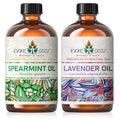 Spearmint and Lavender Essential Oil 4 Fl Oz T3151