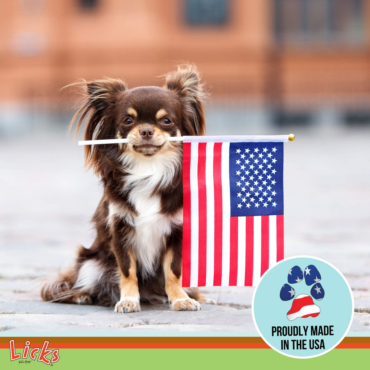 Omega-3 Fish Oil for Senior Dogs F210755