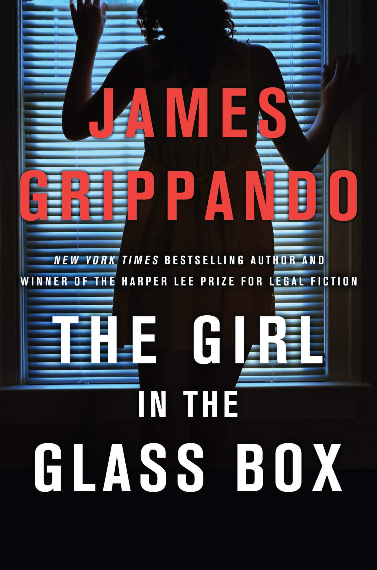 Legal Thriller J25546
