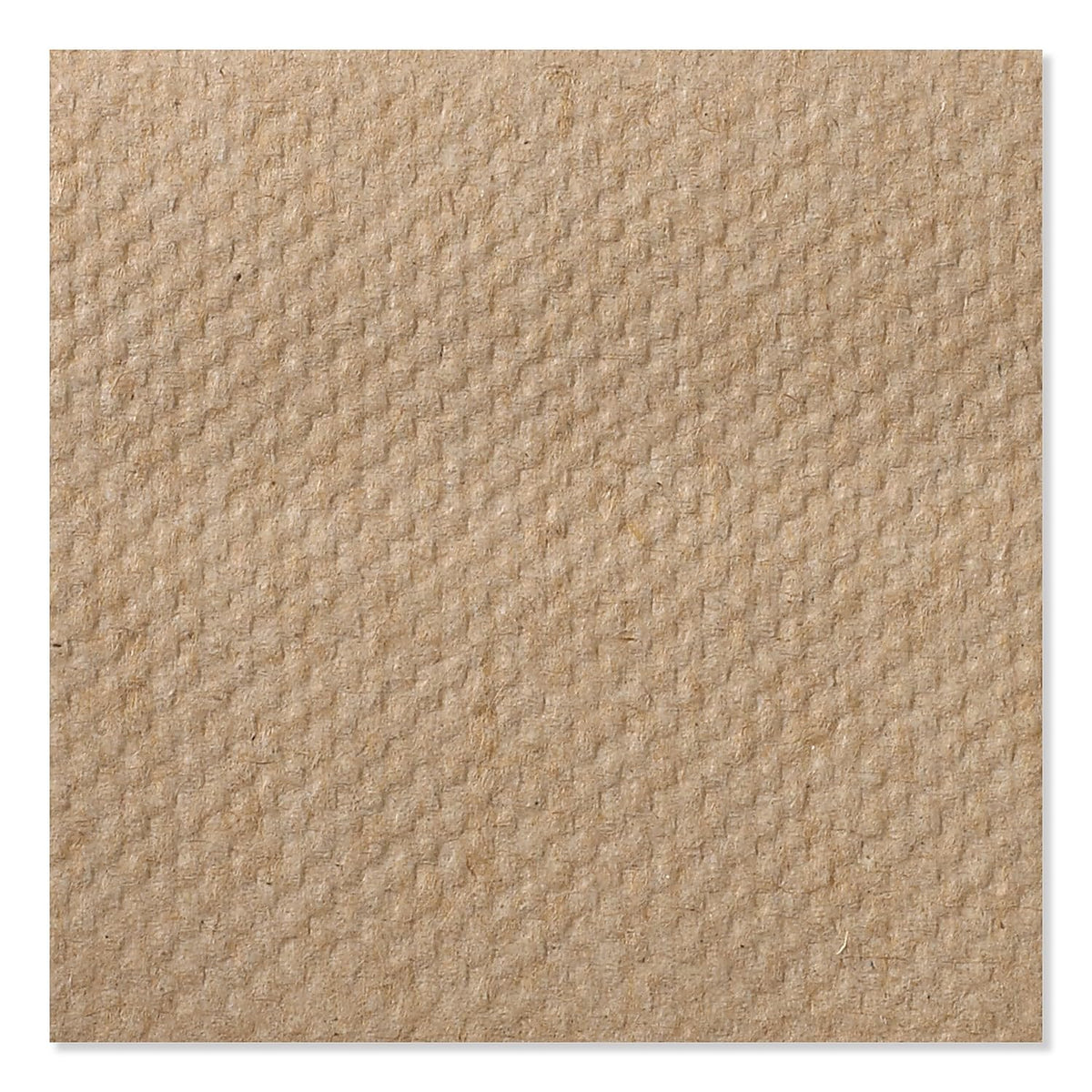 Multifold Hand Towel Natural 16 x 250 Sheets N1376