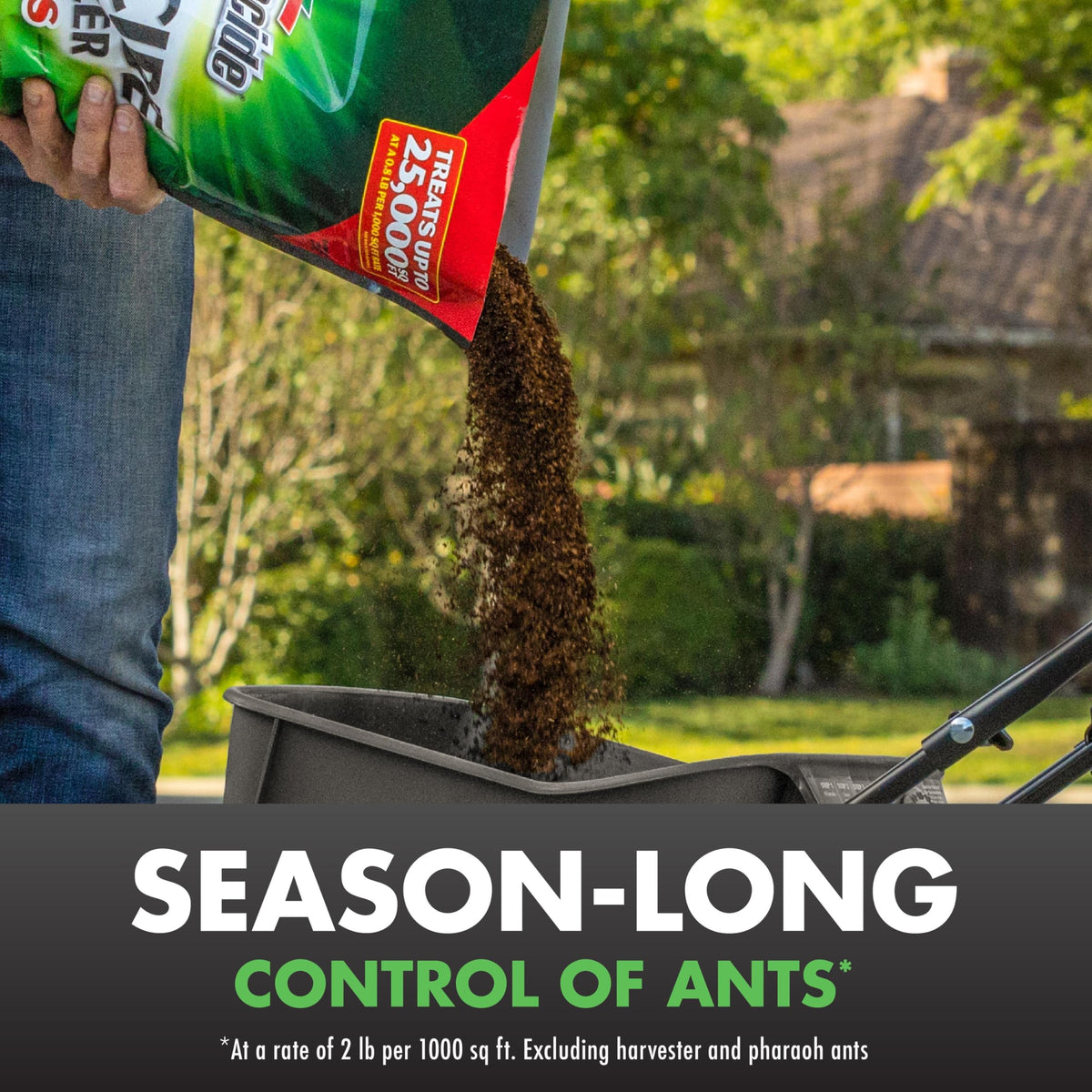 20 lb Granules Insect Killer J1614