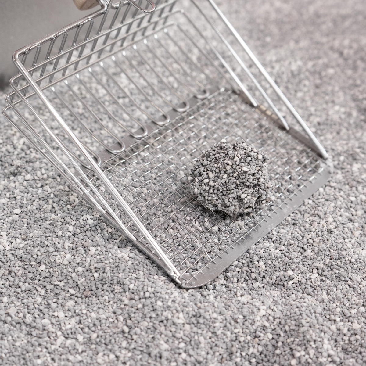 Unscented Clumping Bentonite Clay Cat Litter Set of 2 N379497