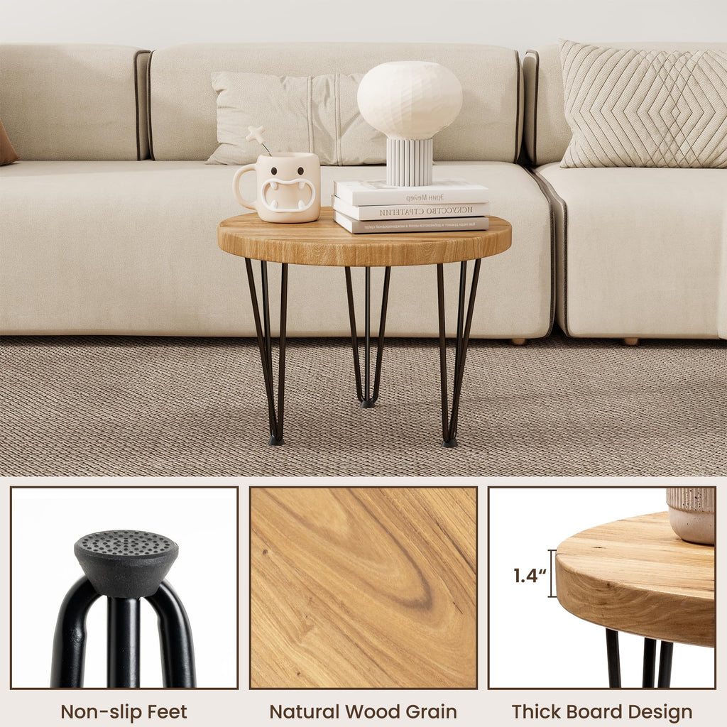 Round Elm Wood Nesting Coffee Table with Metal Legs B562404